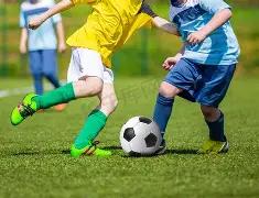 多伦多居民,涉嫌私吞应,属集体所有,RAYBET雷竞技,RAYBET雷竞技官网,RAYBET雷竞技入口,RAYBET雷竞技首页