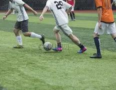 中伟新材加,入港股通标,的名单,RAYBET雷竞技,RAYBET雷竞技官网,RAYBET雷竞技入口,RAYBET雷竞技首页