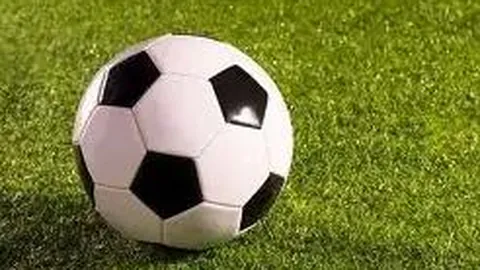 冯小龙访谈：中山传承熊猫棒球精神，揭秘广东21城体育特质