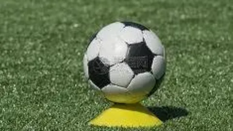 RAYBET雷竞技入口 资讯 100557 d60