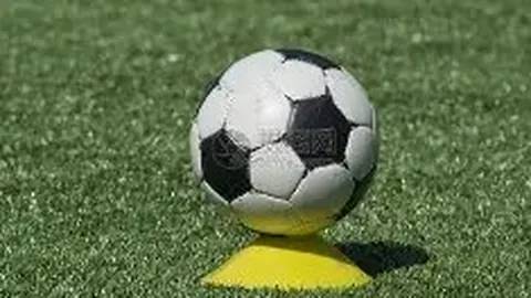 RAYBET雷竞技入口 产品 090111 291